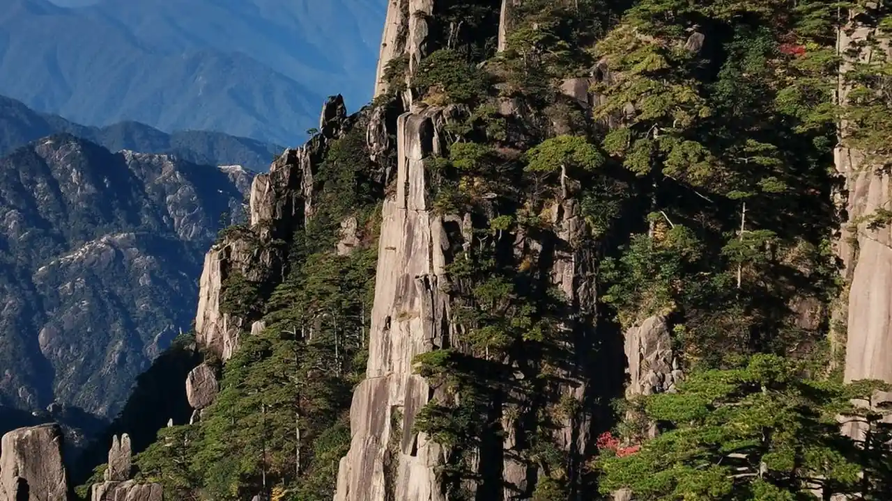 看片免费app网站打造您的专属影音娱乐平台